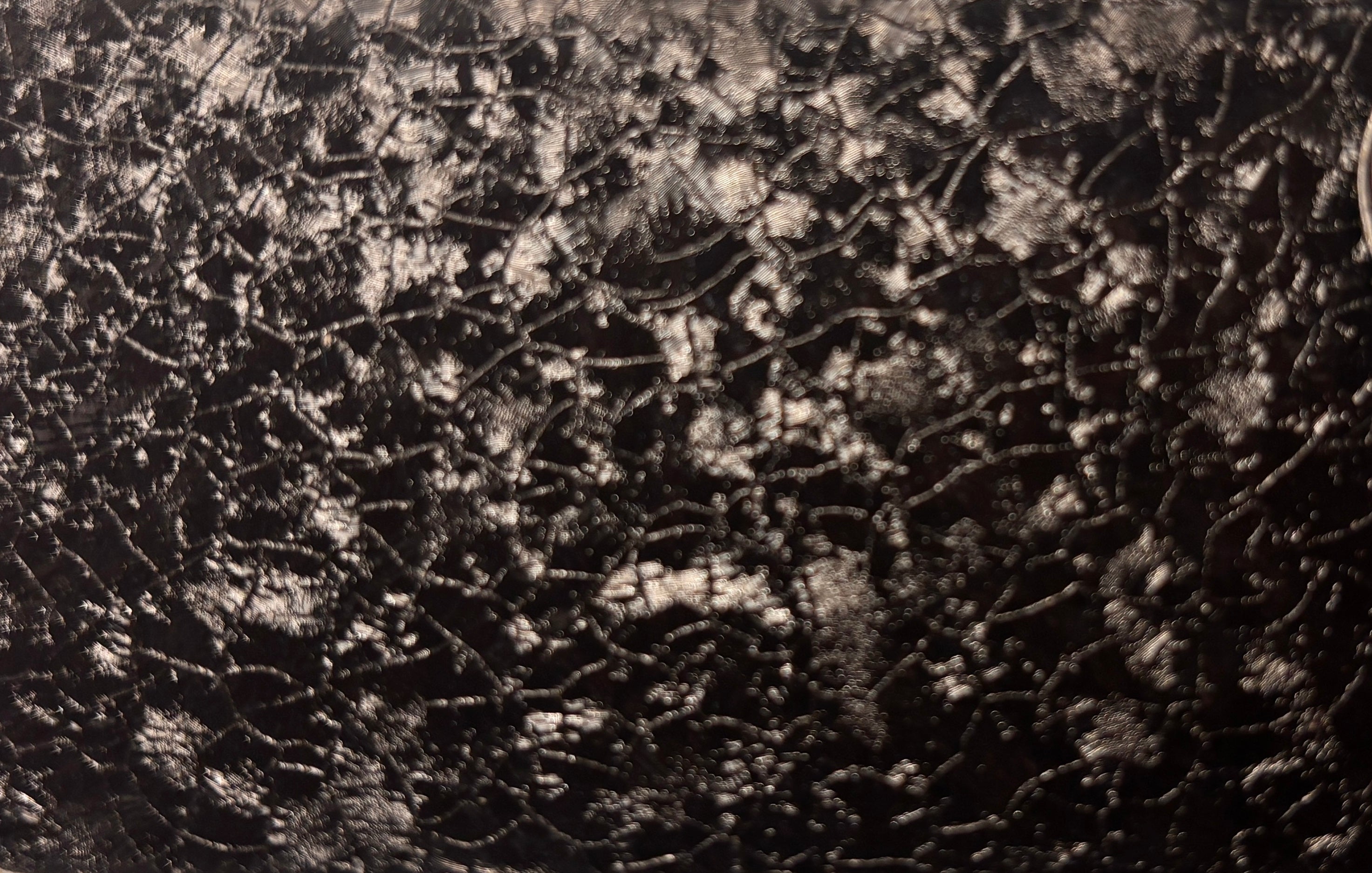 Lamela Metal Z dimensiune personalizata 9,5 cm | Profil Premium pentru Glisiere, Panouri Glisante și Jaluzele Exterior (Garanție 20 Ani) LAMELA Z METAL XM